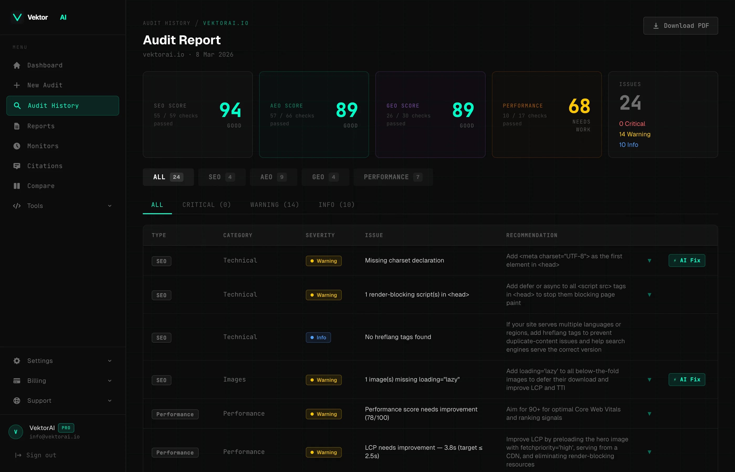 VektorAI audit report with severity-ranked issues and copy-paste fixes
